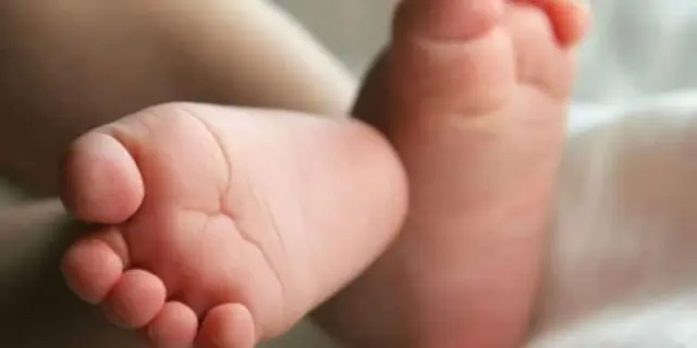 image_68650ba4b23aa.webp