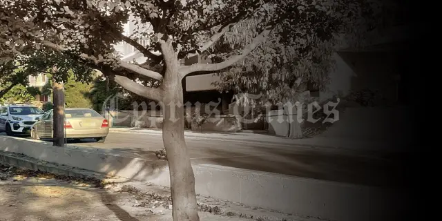 image_686f7ca88f41d.webp